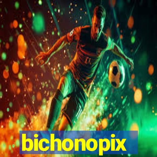 bichonopix