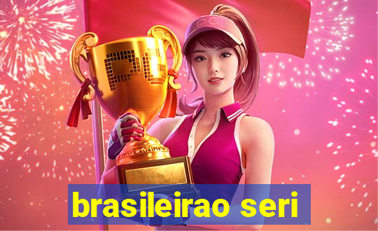 brasileirao seri