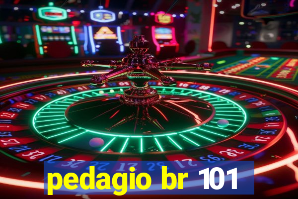 pedagio br 101