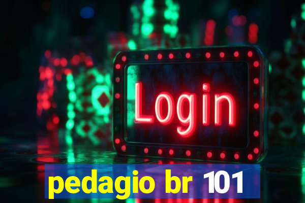 pedagio br 101