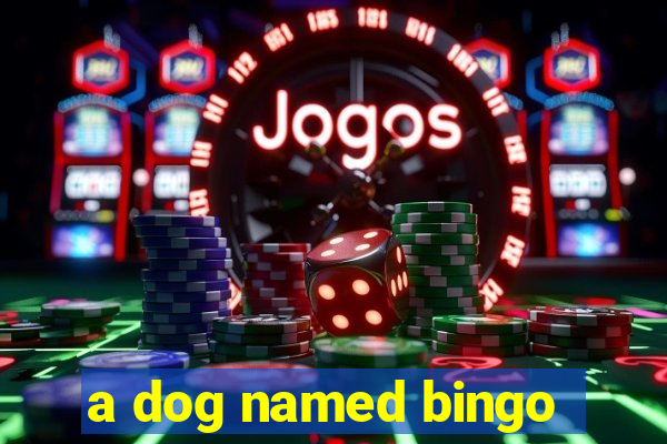 a dog named bingo