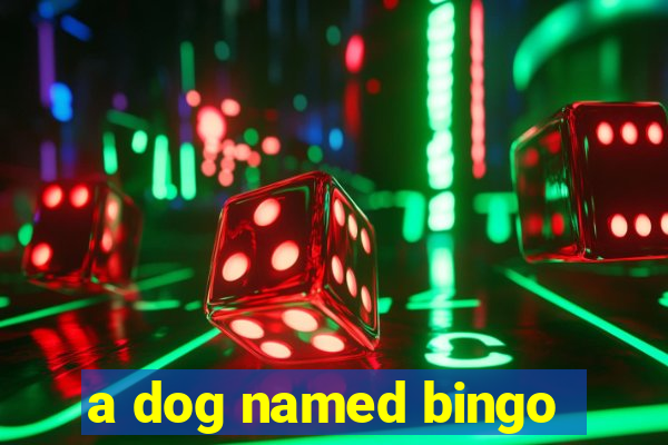 a dog named bingo