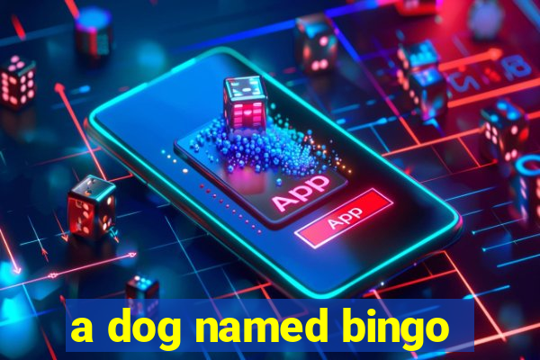 a dog named bingo