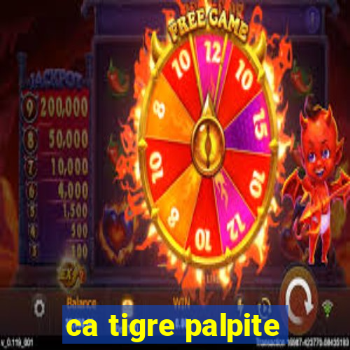 ca tigre palpite