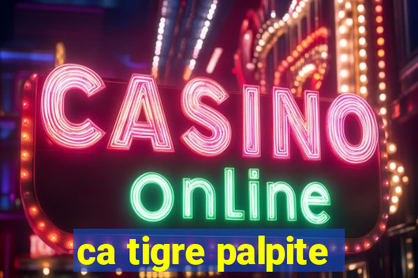 ca tigre palpite