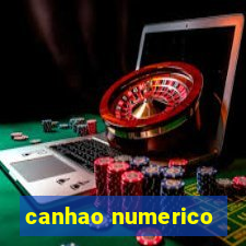 canhao numerico