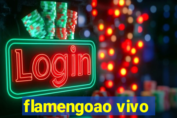 flamengoao vivo