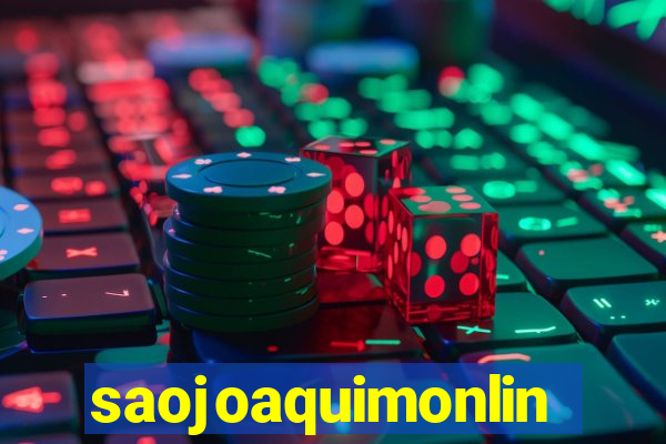 saojoaquimonline