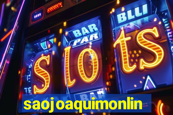 saojoaquimonline