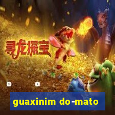 guaxinim do-mato