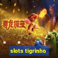 slots tigrinho