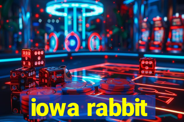 iowa rabbit