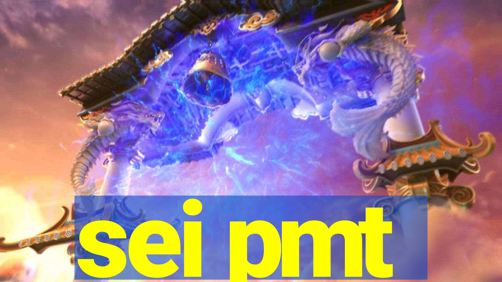 sei pmt