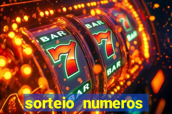 sorteio numeros bingo online