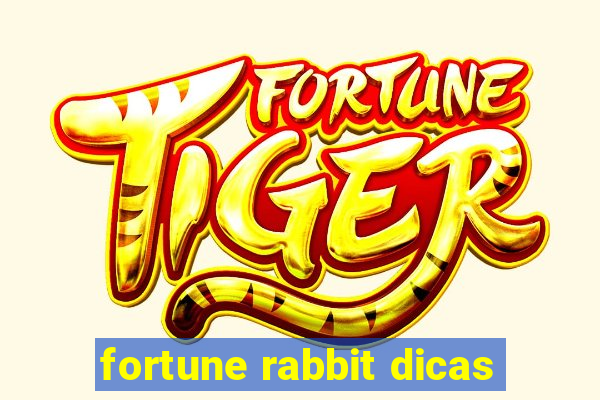 fortune rabbit dicas