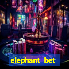 elephant bet aviator login