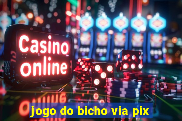 jogo do bicho via pix