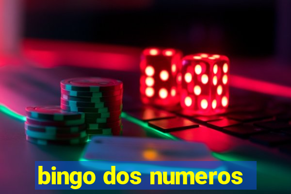 bingo dos numeros