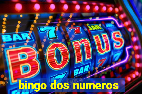 bingo dos numeros