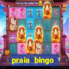 praia bingo dinheiro infinito 2022