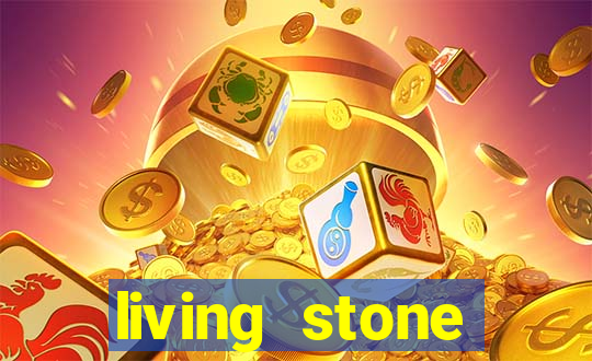 living stone network tv