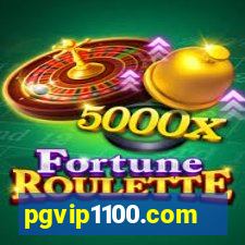 pgvip1100.com