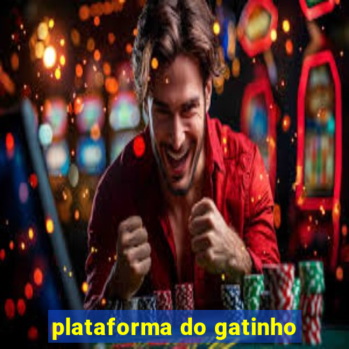 plataforma do gatinho