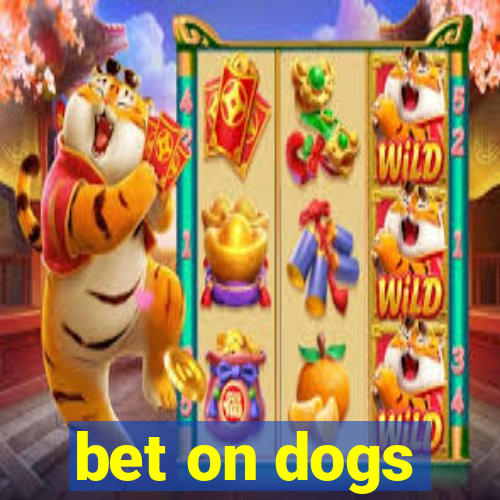 bet on dogs