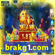 brakg1.com