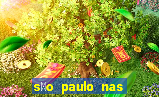 s茫o paulo nas alturas pdf