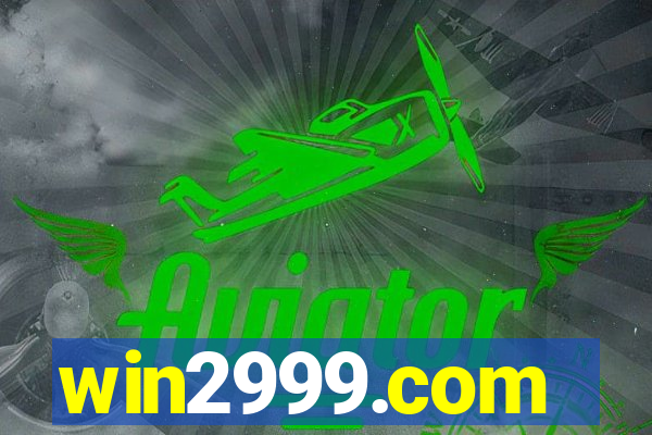 win2999.com