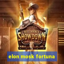 elon mosk fortuna