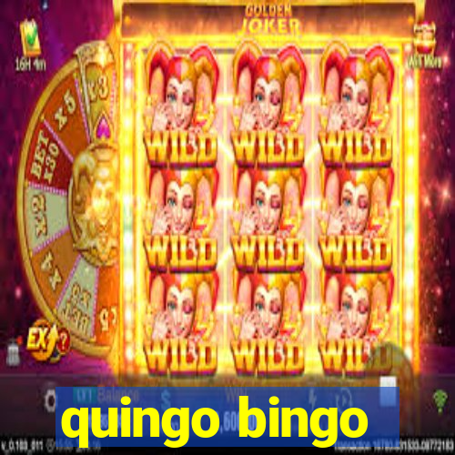 quingo bingo