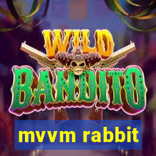 mvvm rabbit