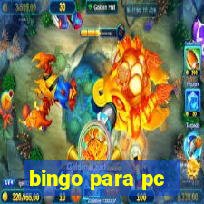 bingo para pc