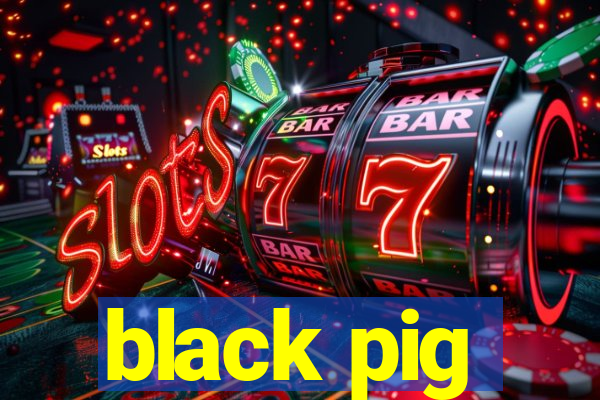 black pig