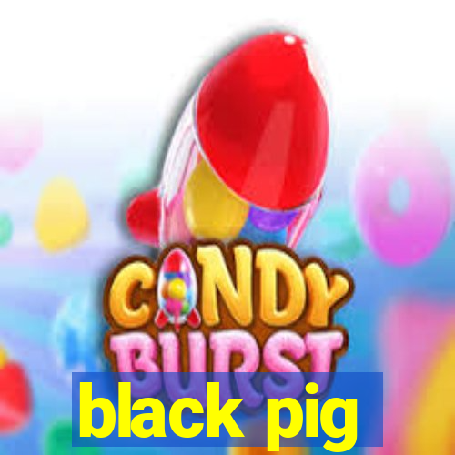 black pig