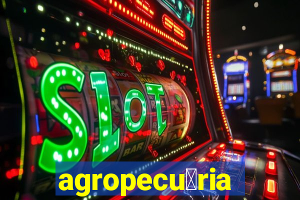 agropecu谩ria jaragua do sul