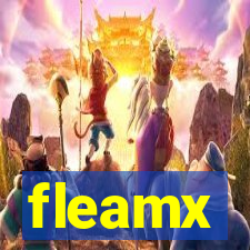 fleamx