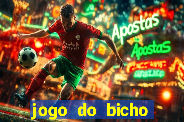 jogo do bicho crash mines