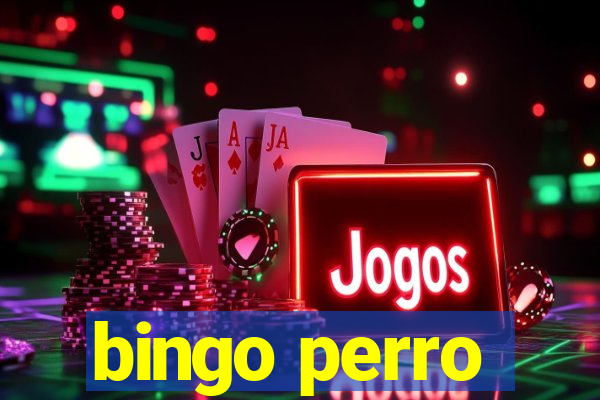 bingo perro