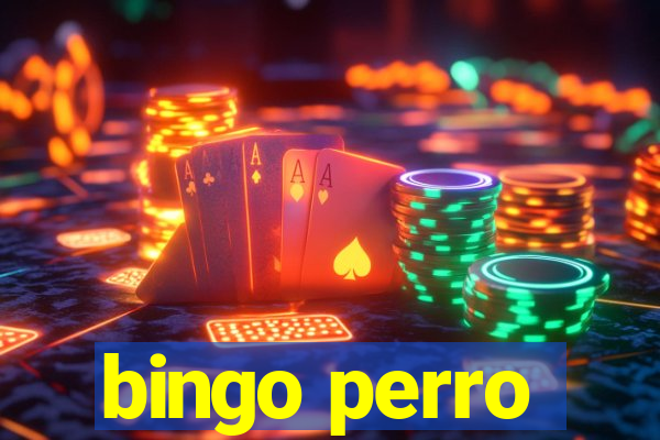 bingo perro