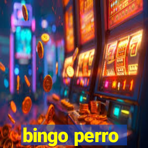 bingo perro