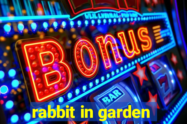 rabbit in garden