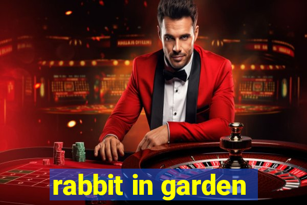 rabbit in garden