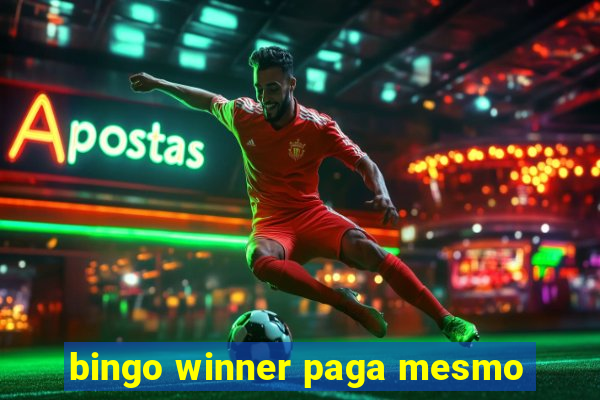 bingo winner paga mesmo