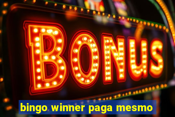 bingo winner paga mesmo