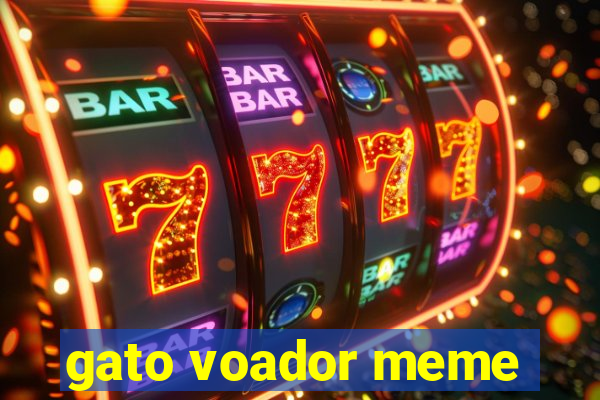 gato voador meme