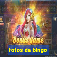 fotos da bingo