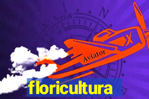 floricultura cruzeiro novo